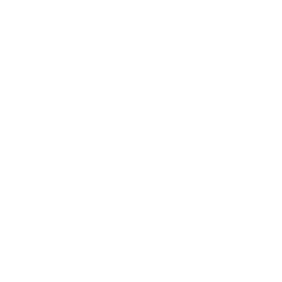 ICON_UNIT_SAPPER
