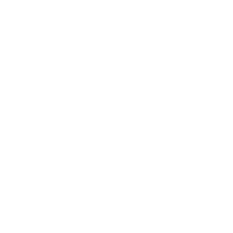ICON_PROJECT_CHALEMAGNE_CULTURE