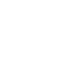 ICON_PROJECT_CHALEMAGNE_GOLD