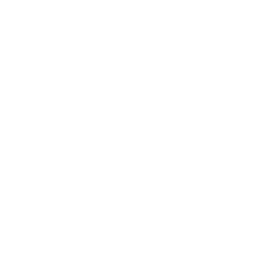 ICON_PROJECT_CHALEMAGNE_SCIENCE